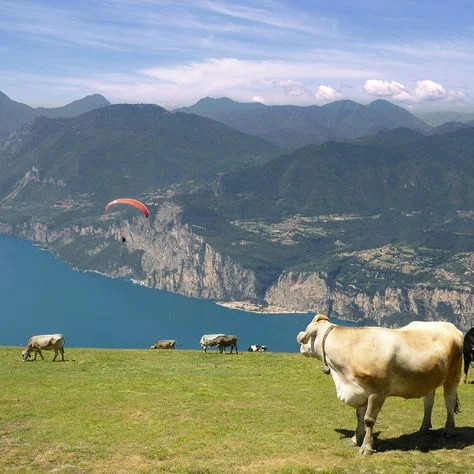 Malcesine Hiking Trails