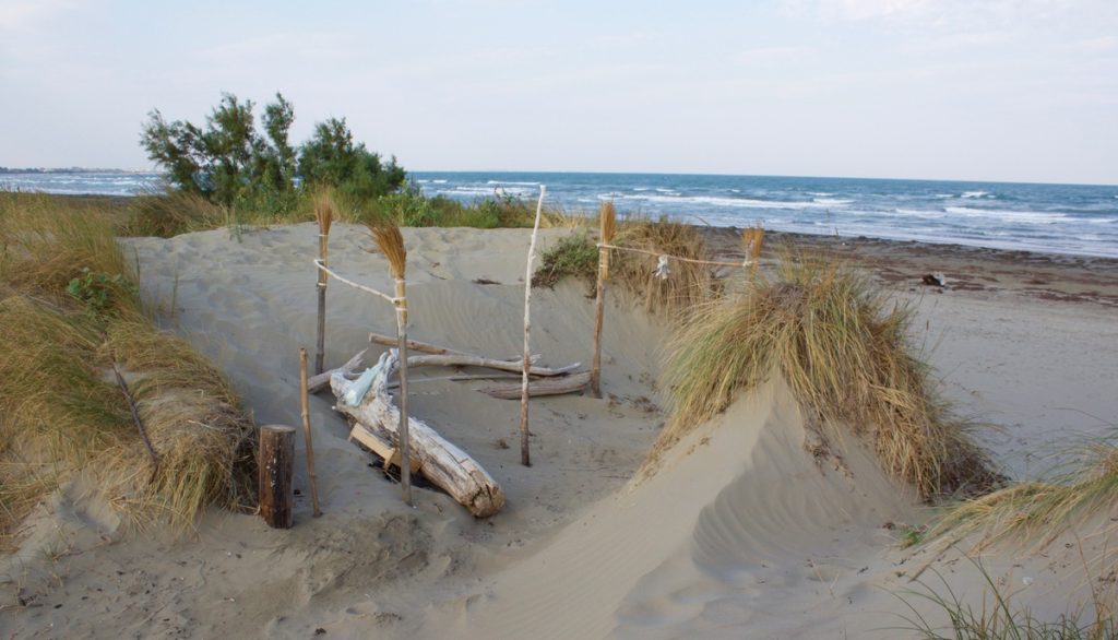 Alberoni dunes