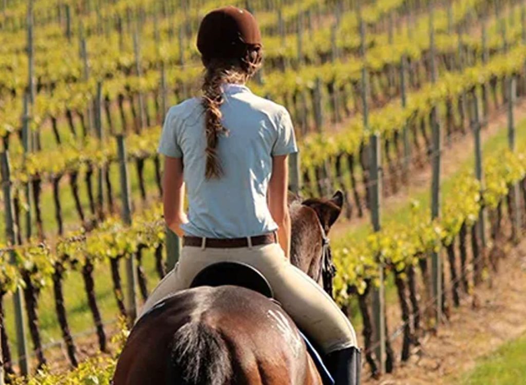 Horse riding in San Gimignano