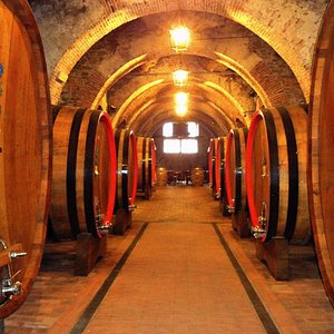 Cantina De Ricci in Montepulciano