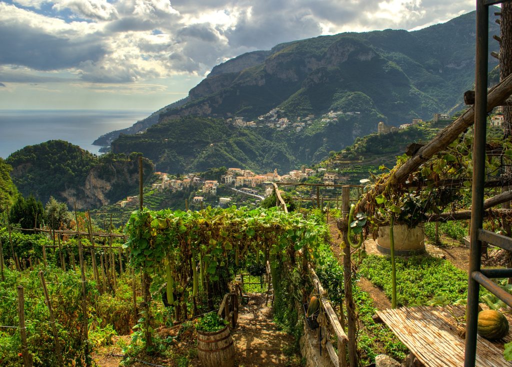 Best Amalfi Coast wineries