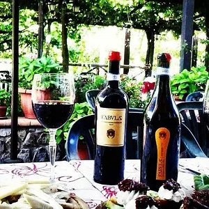 Giuseppe Apicella winery on Amalfi Coast