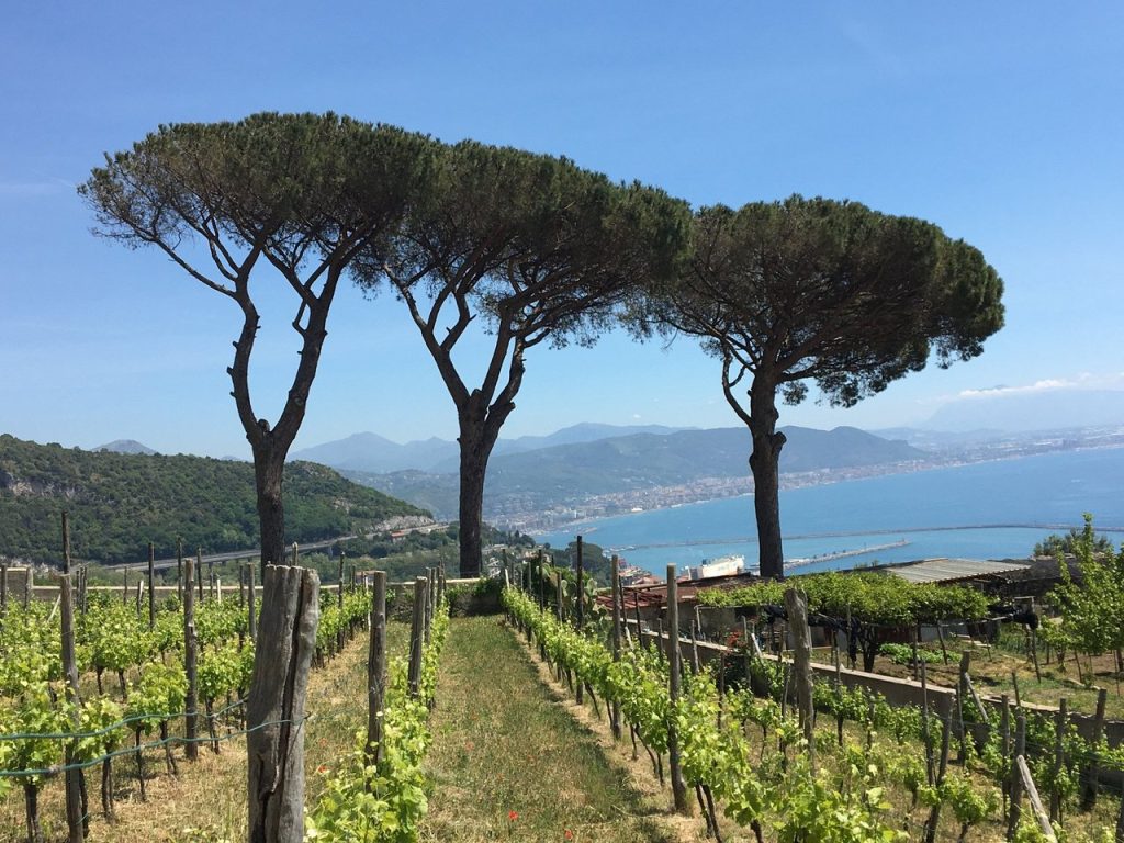 Le Vigne di Raito on Amalfi Coast