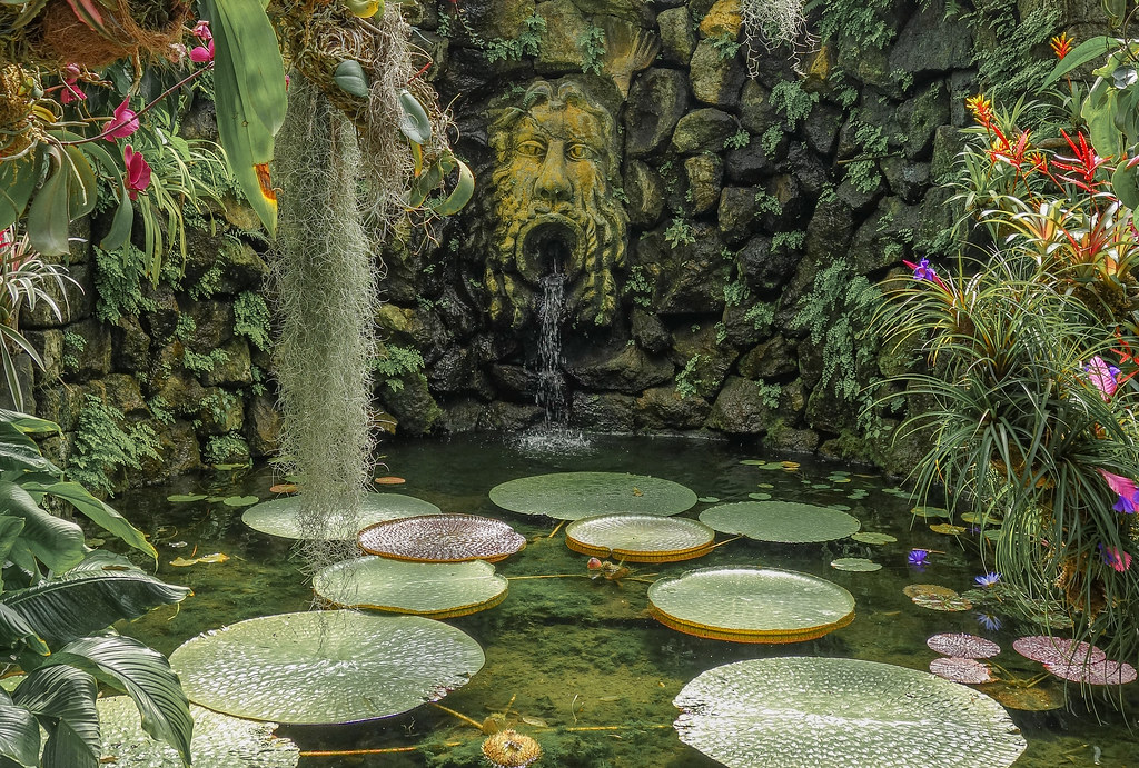 Giardini La Mortella in Ischia