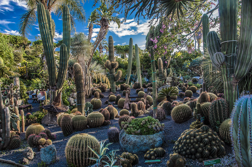 Giardini Ravino in Ischia